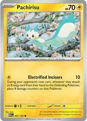 Pachirisu [Reverse Holo] #51