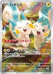 Pachirisu #84