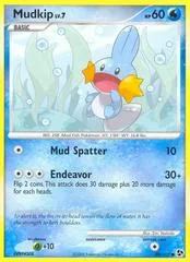 Mudkip #80