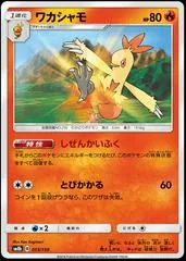 Combusken #13