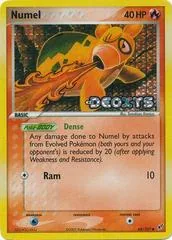 Numel [Reverse Holo] #68