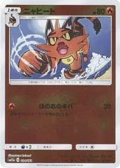 Torracat #24