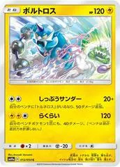 Thundurus #12