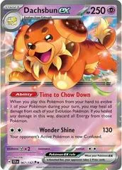 Dachsbun ex #67
