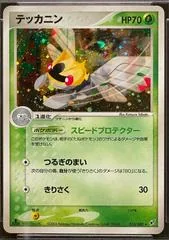 Ninjask #13
