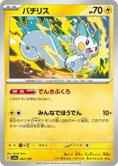 Pachirisu [Reverse Holo] #62