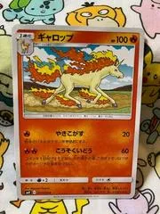 Rapidash #17