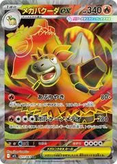 Mega Camerupt Ex #77