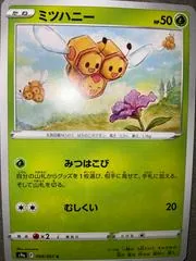 Combee #8