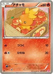 Torchic [Holo 1st Edition] #5