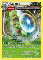 Sceptile #9
