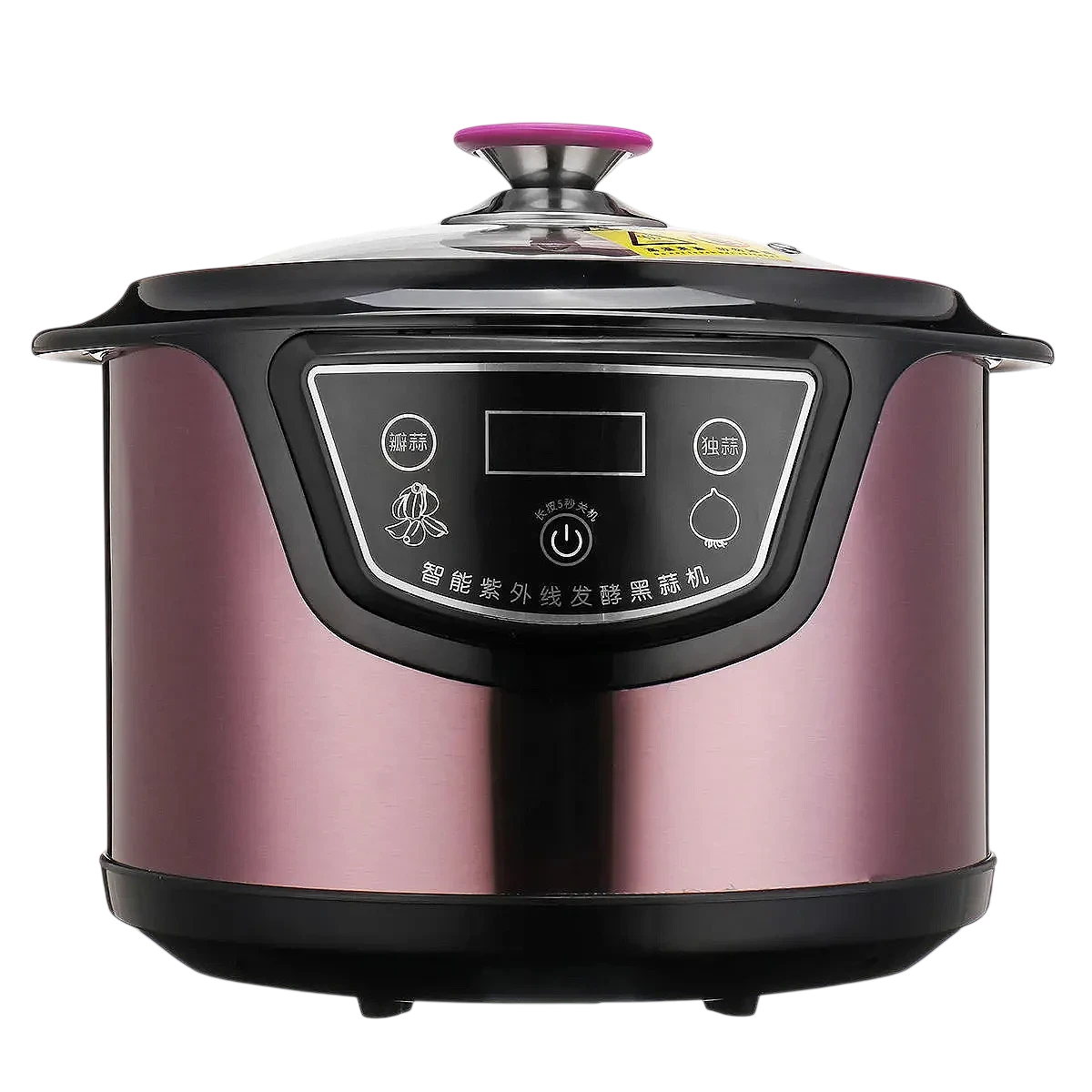 Fermentador Inteligente de Ajo Negro 6L | 90W con UV