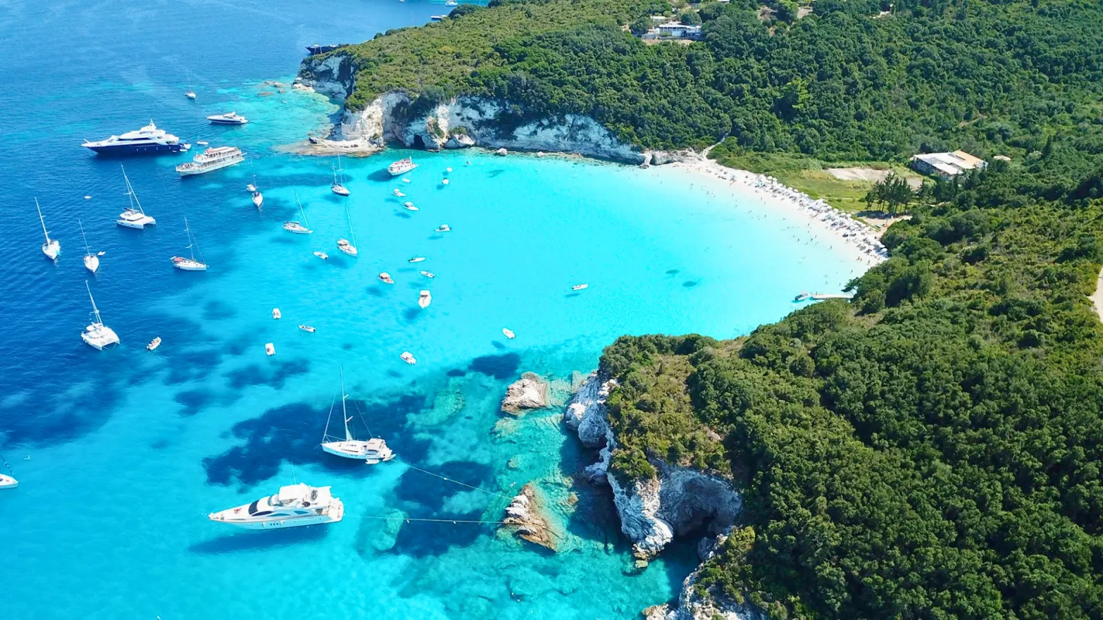Antipaxos