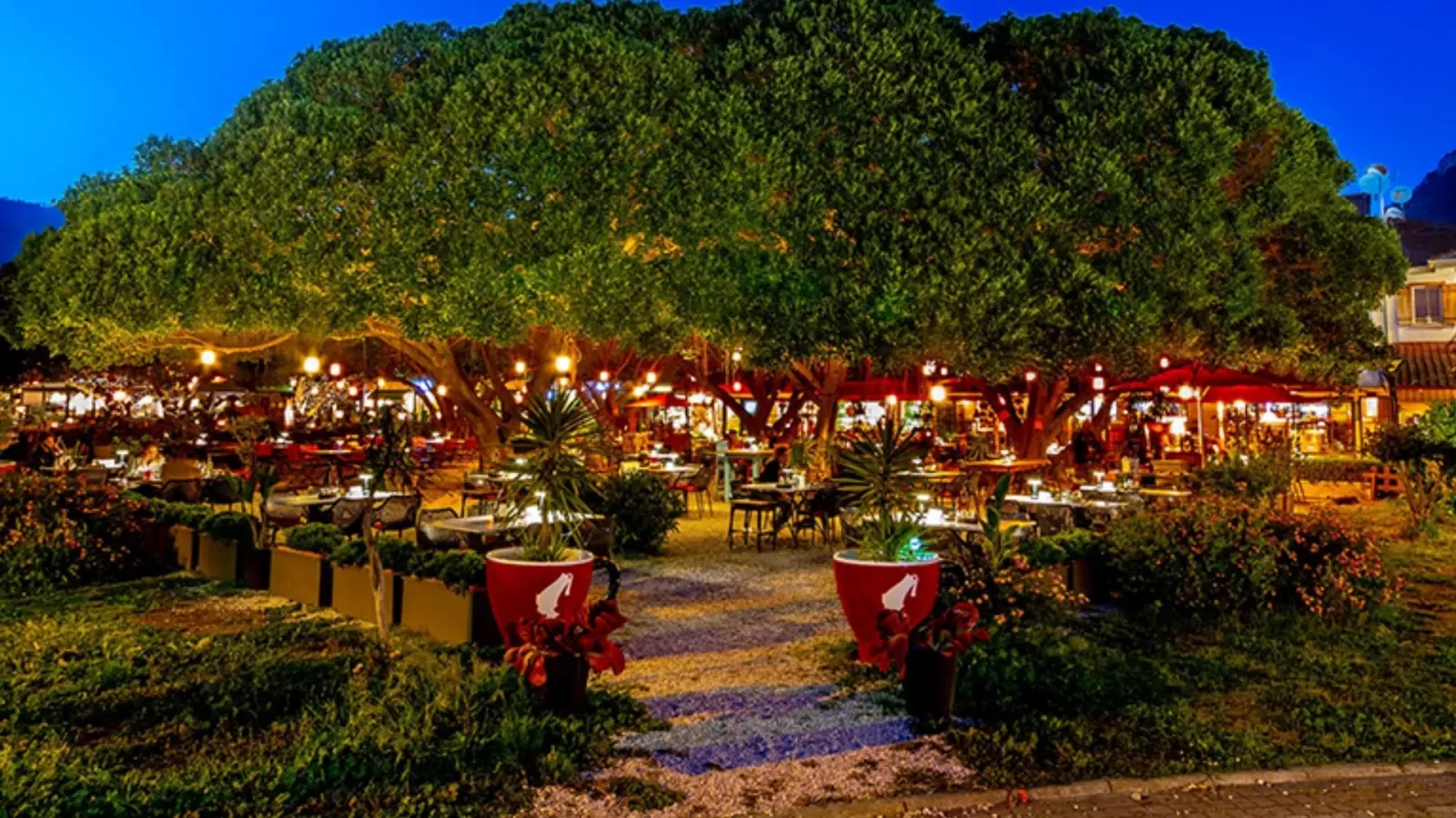 West Cafe & Bistro