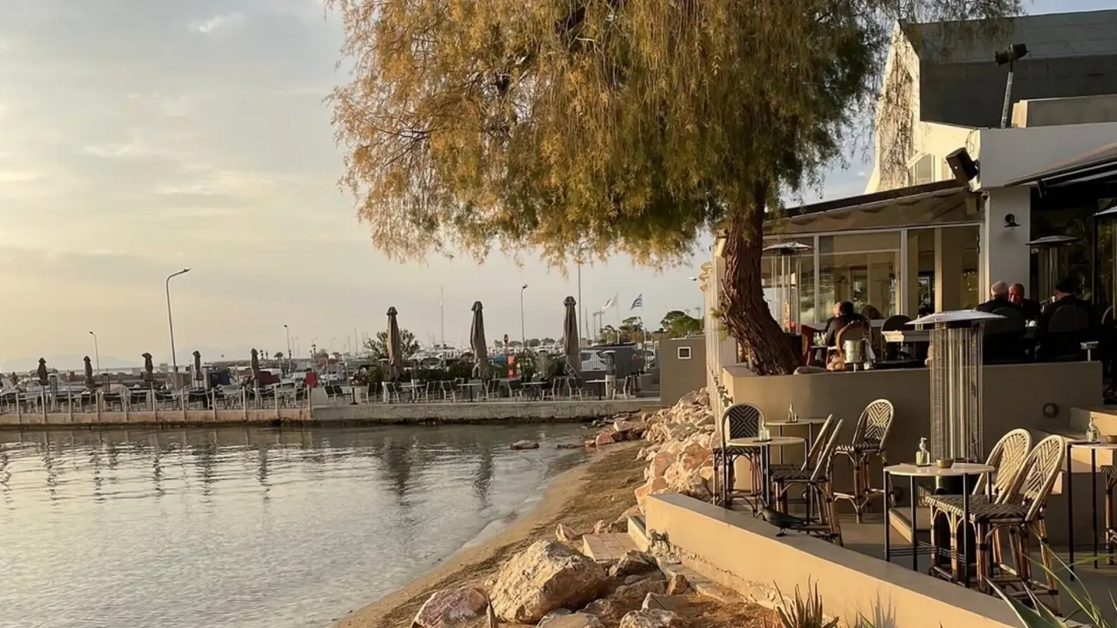 Ark Beach Club