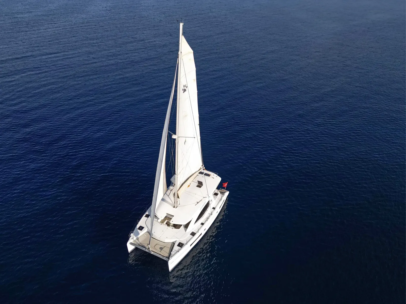 Monaco sailing in Bodrum
