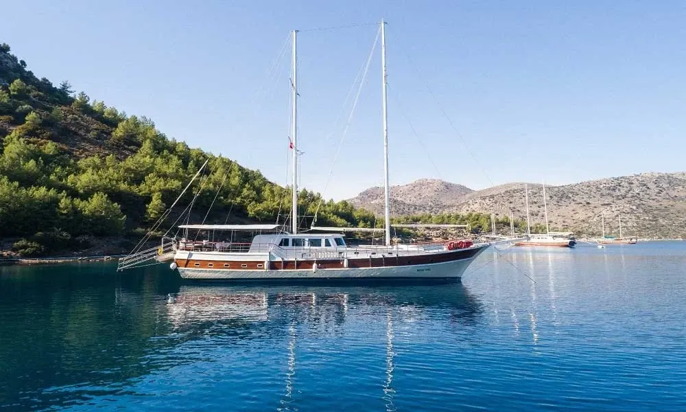 Koray Ege