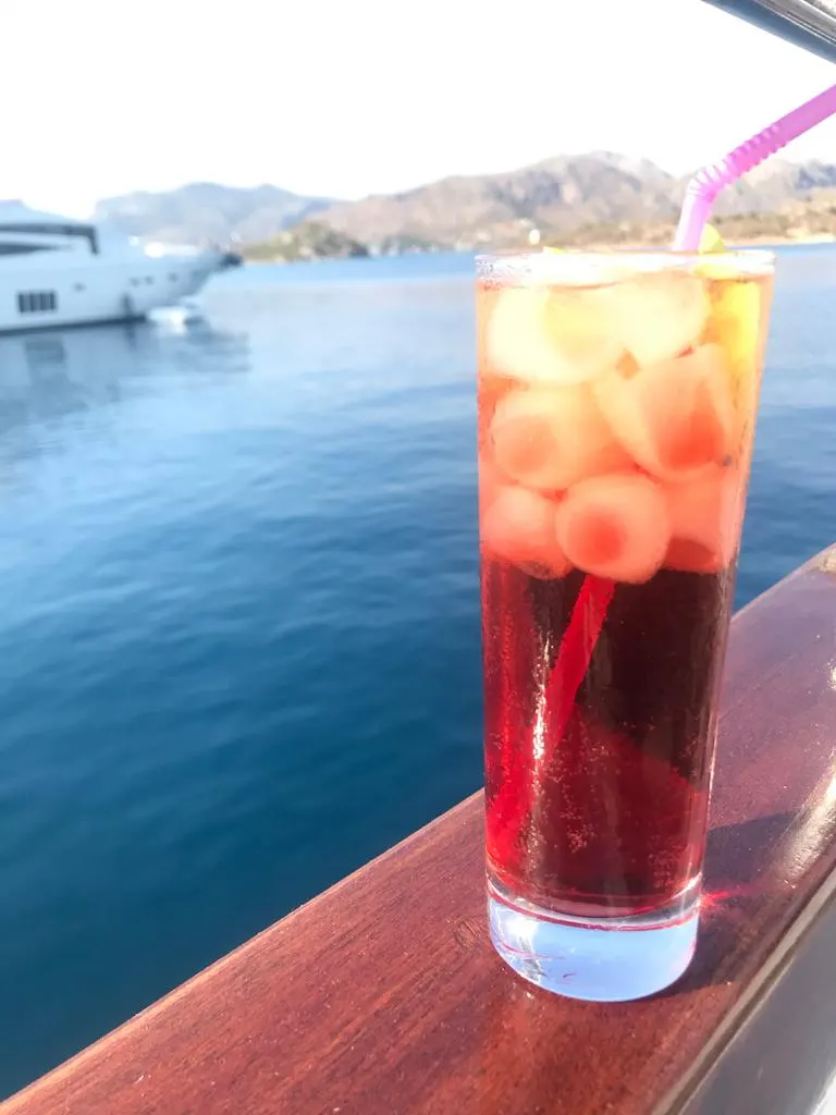Zekioglu 1 sailing in Bozburun