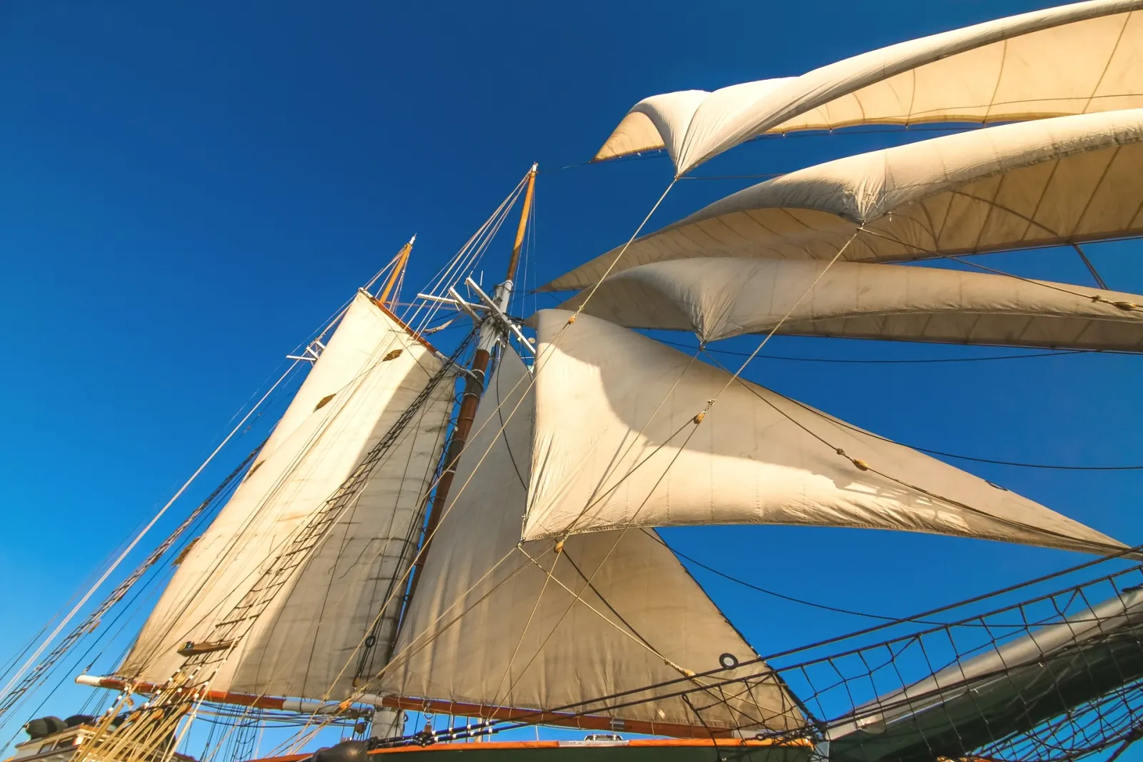 Arktos sailing in Athens