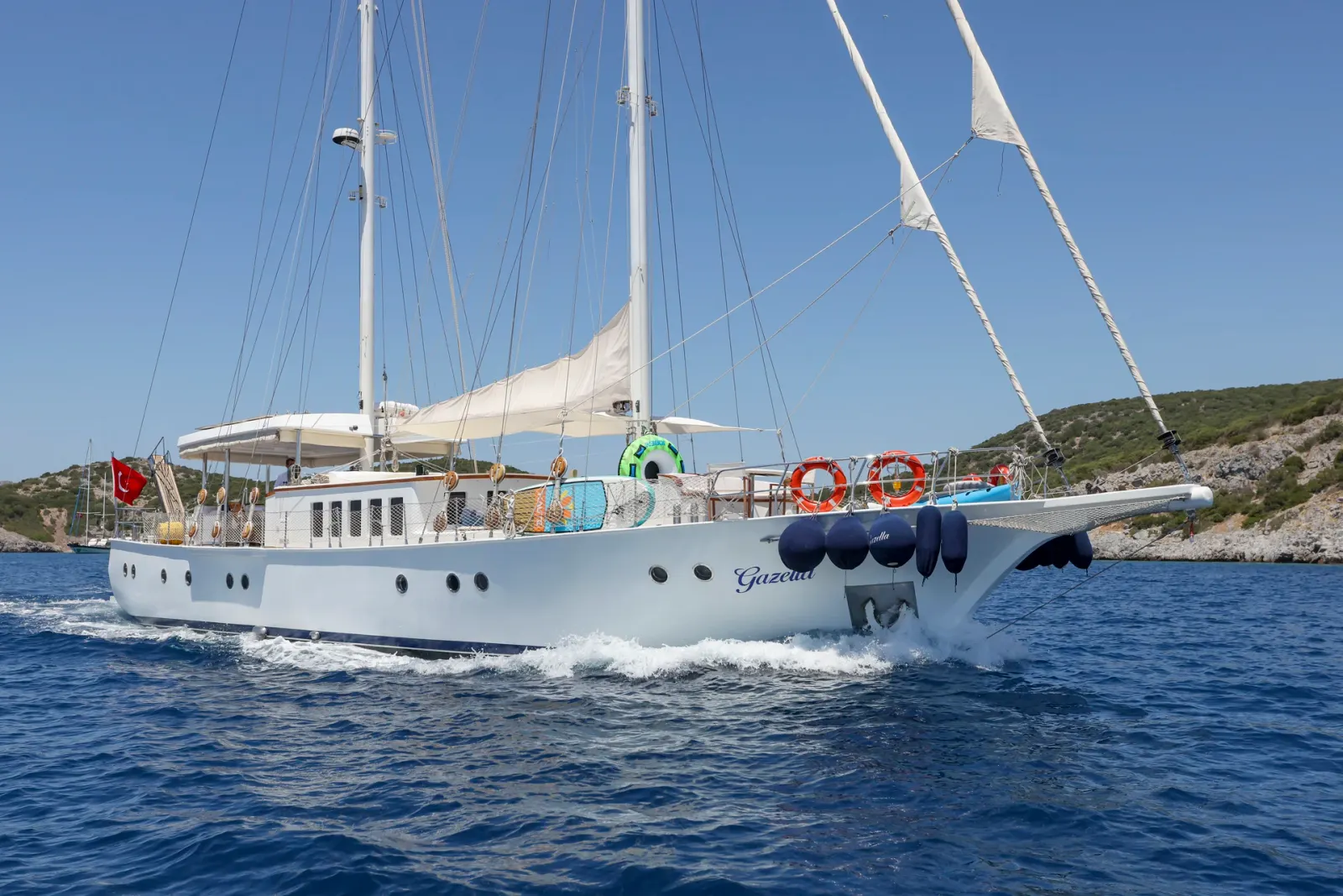 Gazella 1