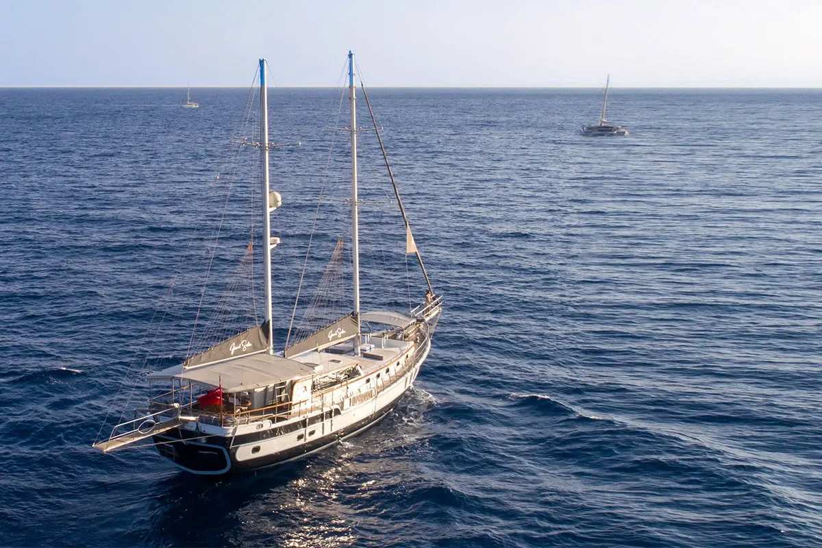 Grand Sailor