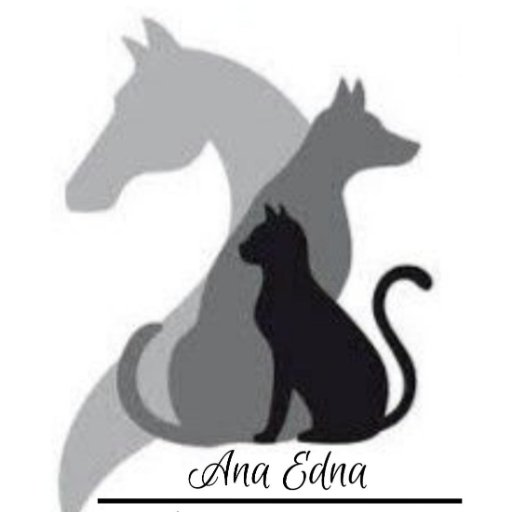 RIBEIRO PET VET