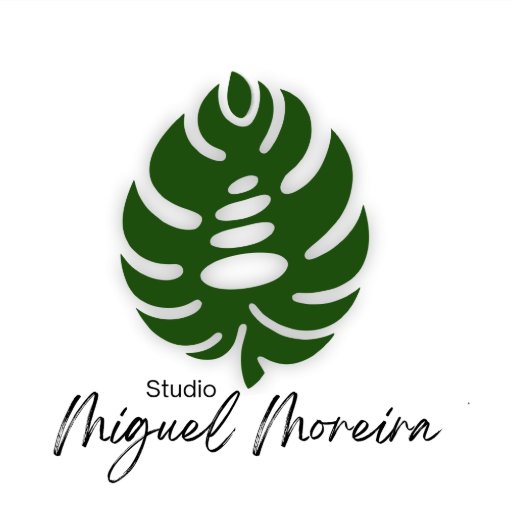 STUDIO MIGUEL MOREIRA - MASSAGEM & ACUPUNTURA