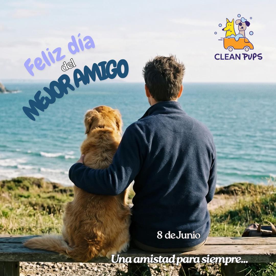 Los mejores amigos no siempre hablan… a veces ladran, mueven la colita y nos acompañan en cada momento 🐶💛

Hoy celebramos ese amor incondicional que solo ellos saben entregar: fiel, sincero y lleno de alegría.

Feliz Día del Mejor Amigo a quienes tienen la suerte de compartir la vida con uno de cuatro patas.

#mejoramigo #dogfriend #happyday #doglover #diadelmejoramigo en Clean Pups, Viña del Mar