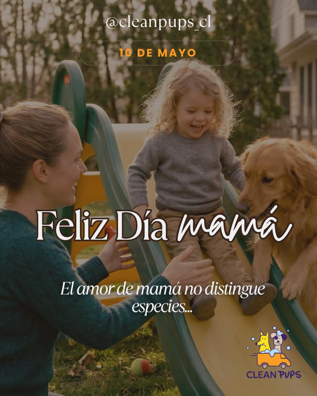 💐 Feliz Día de la Mamá 🐾

En este día queremos celebrar a todas las mamás… 🙌
y a esas mamás que también llenan su hogar de patitas, pelos y amor incondicional 💖🐶🐱

Porque sabemos que ellos no son solo mascotas…
son parte de la familia.

Cuidarlos también es una forma de amar 💕

Disfruta tu día junto a quienes más amas 🐾

#diadelasmadres #dogmom #happyday en Clean Pups, Viña del Mar