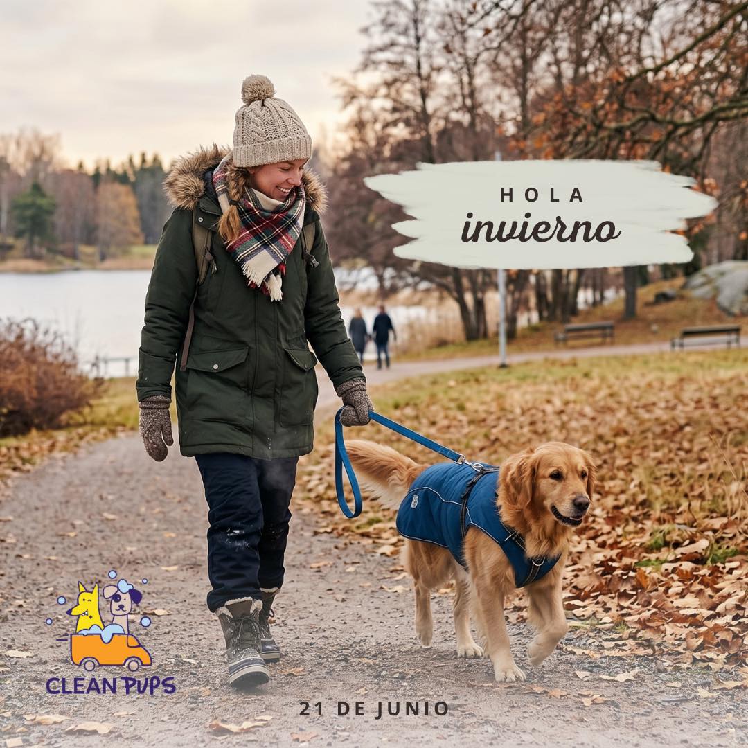 ☃️¡Hoy comienza oficialmente el invierno!☃️

Llegan los días más fríos, las tardes de abrigo y los regaloneos en casa 🐶❄️

En esta temporada, es importante cuidar a nuestros peludos del frío, mantener su pelaje limpio y seco, y estar atentos a cualquier cambio en su piel o comportamiento.

Ellos también sienten el invierno, acompañémoslos con amor, cuidado y mucho calor de hogar 💙

#bienvenidoinvierno #frio #welcomewinter en Clean Pups, Viña del Mar