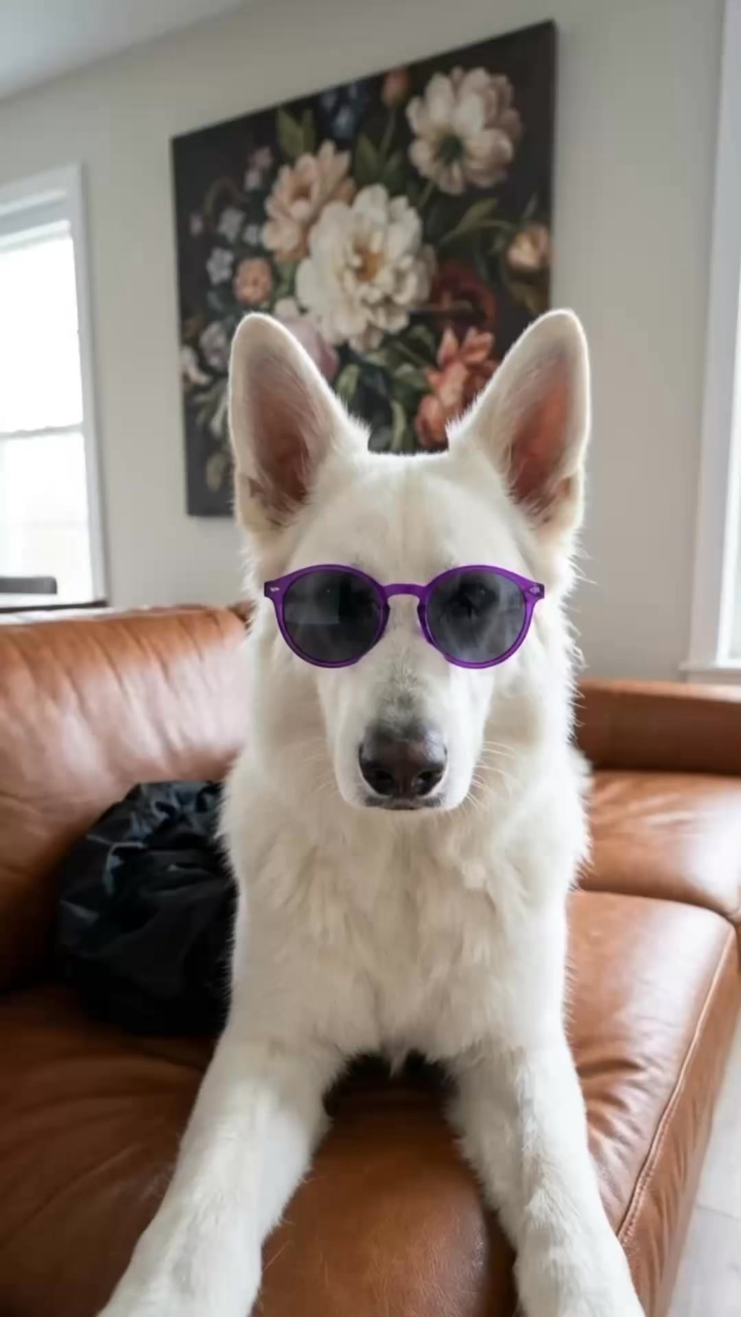POV: te bañas con Clean Pups y automáticamente sube tu nivel de estilo 😎🐾✨

Pelito limpio, aroma rico y actitud de estrella ⭐
Porque un baño profesional no es solo verse bien… también es bienestar, comodidad y muchos mimos 💜

¿Tu humano ya agendó? 🛁🚐
📍Servicio a domicilio en Viña del Mar y alrededores

 #bañoadomicilioparaperros #viña #viñadelmar #doglover en Clean Pups, Viña del Mar