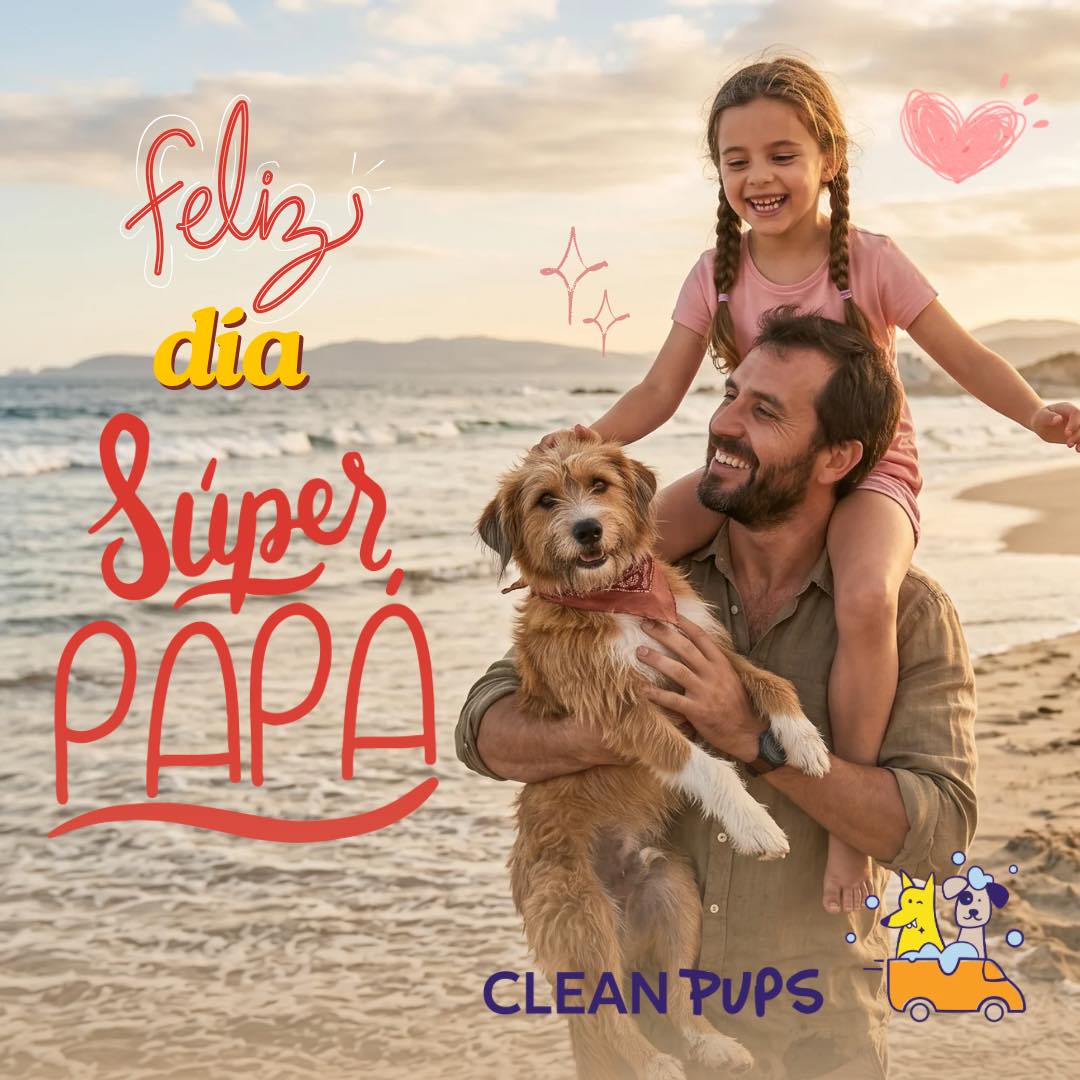 ✨Porque ser papá también es acompañar, proteger y entregar amor incondicional.
Hoy celebramos a esos papás que siempre están ahí, en cada paseo, en cada abrazo y en cada momento especial junto a sus compañeros de cuatro patas 🐶💙

¡Feliz Día del Padre a todos los papás perrunos!

#díadelpadre #papaperruno #felizdiapapa #doglover en Clean Pups, Viña del Mar