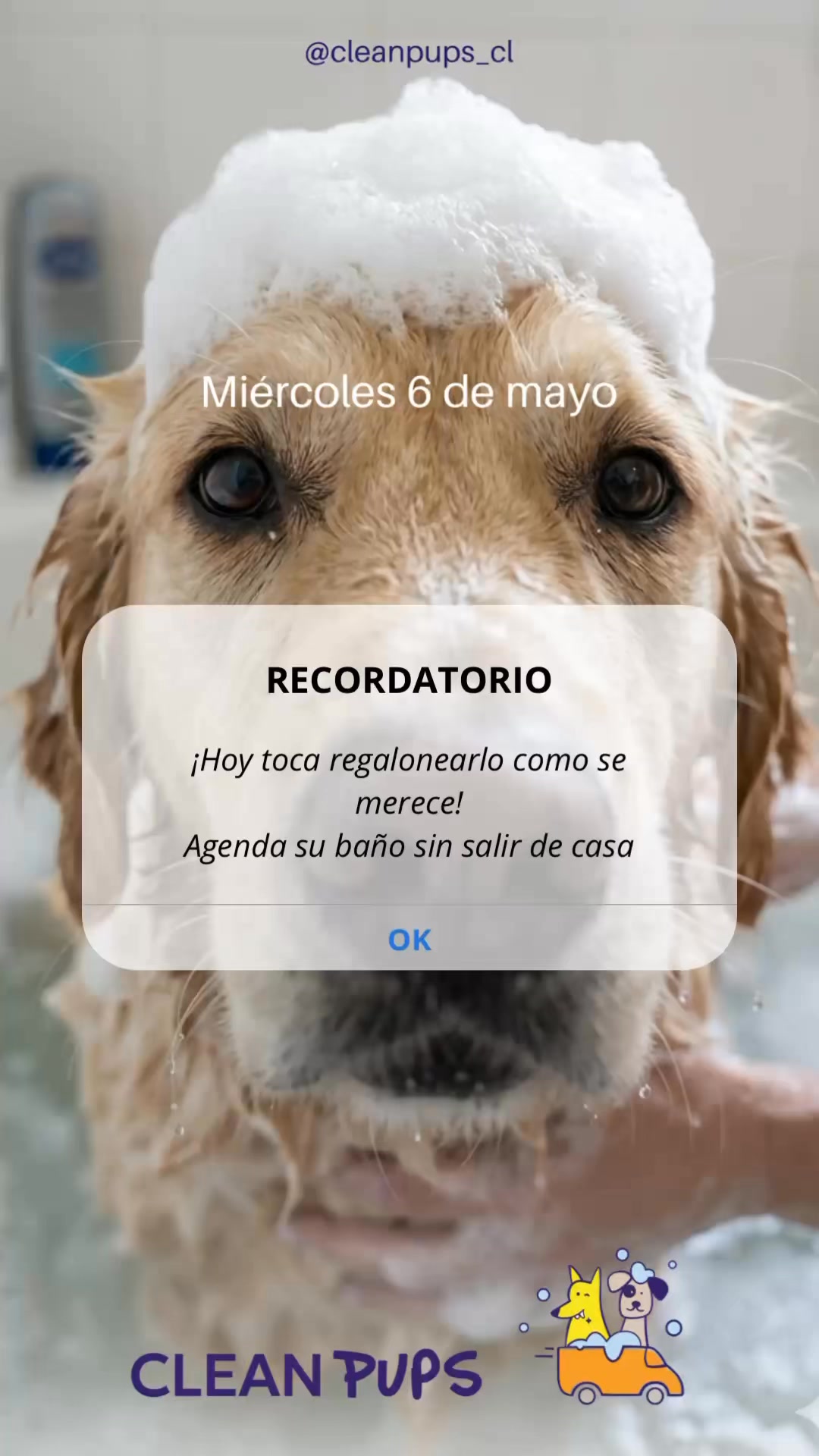 🚨 Recordatorio importante 🚨
Tu perrito también merece su día de spa 🛁🐶

Agenda con nosotros y déjalo limpio, feliz y relajado 💙

 #recordatorio #bañoadomicilio #doglover en Clean Pups, Viña del Mar