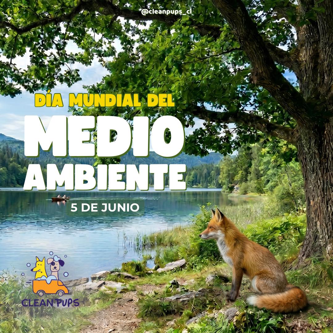 Cuidar el medio ambiente también es cuidar el hogar que compartimos con ellos 🐶🌎💚

Cada paseo, cada plaza y cada rincón de la naturaleza forman parte de su mundo y del nuestro. Hoy recordamos la importancia de proteger nuestro entorno con pequeñas acciones que hacen una gran diferencia.

Feliz Día del Medio Ambiente.🌳

#diadelmedioambiente🌎 #planeta #reciclar en Clean Pups, Viña del Mar