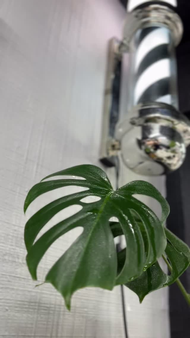 Un servicio de calidad… en un espacio pensado para ti @ferrazasalon 

#Salon #peluqueria #barberia en Barbería Ferraza, Viña del Mar