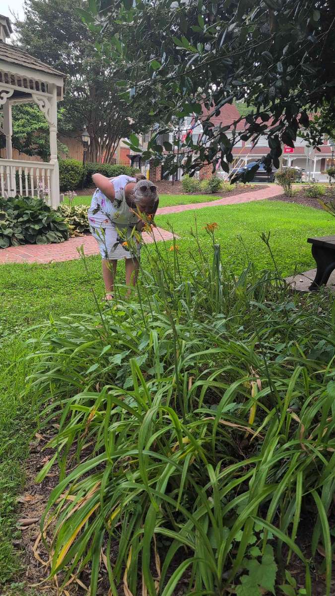 오코퀀 스캐빈저 헌트 스캐빈저 헌트 사진