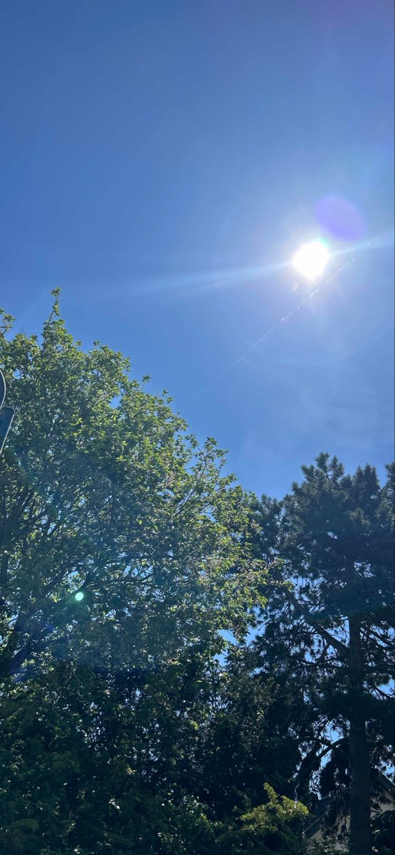 Mendig Scavenger Hunt scavenger hunt photos