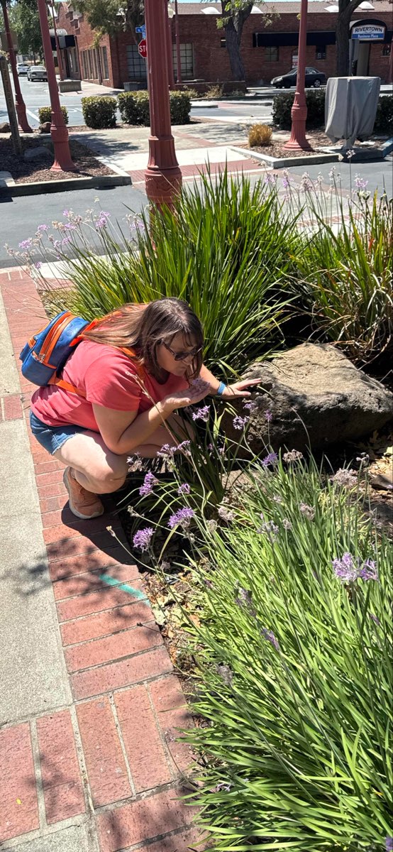 Antioch Scavenger Hunt -aarteenetsintäkuvat