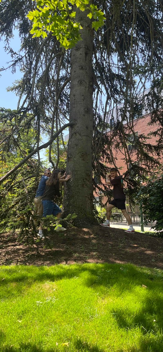 Φωτογραφίες κυνηγιού θησαυρού του Eugene