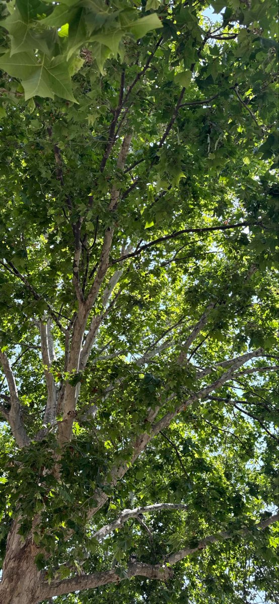 Marseille Scavenger Hunt scavenger hunt photos