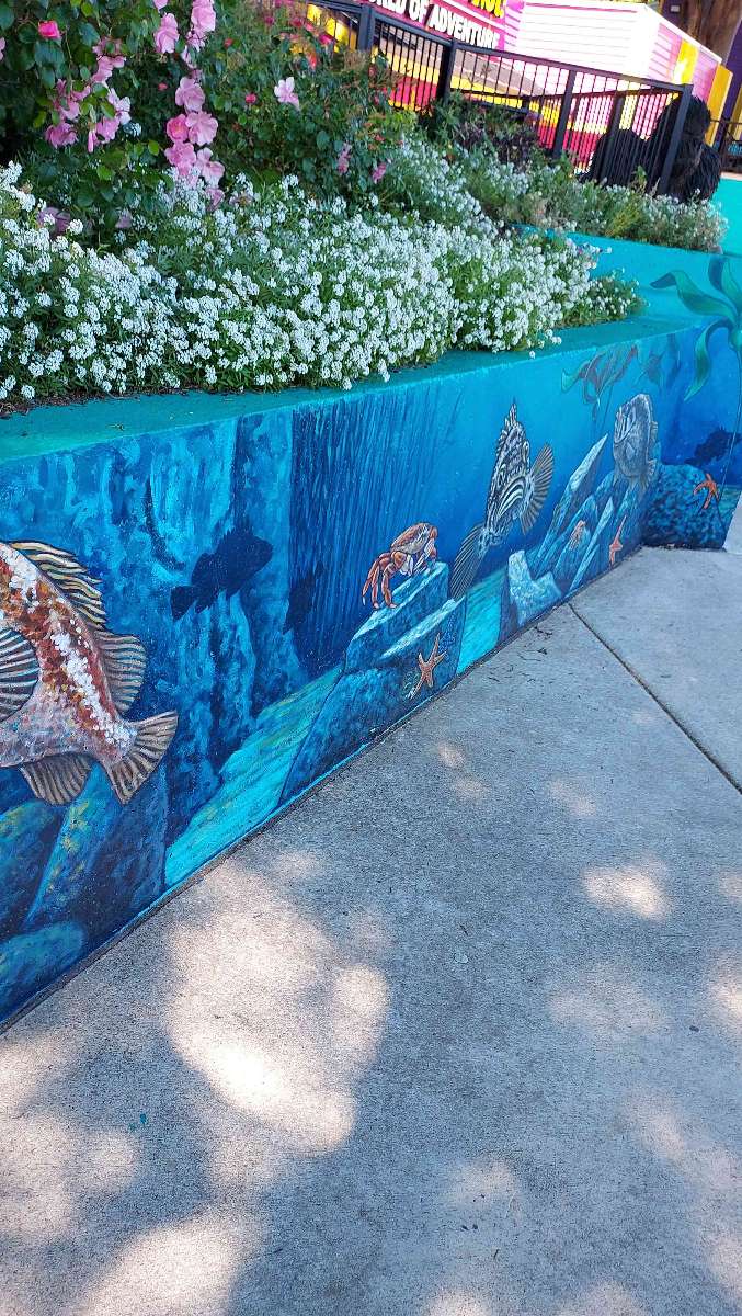 Newport Oregon Scavenger Hunt scavenger hunt photos