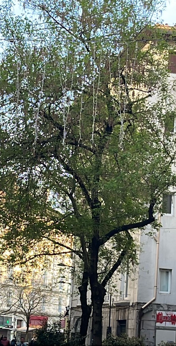 Grenoble Scavenger Hunt scavenger hunt photos