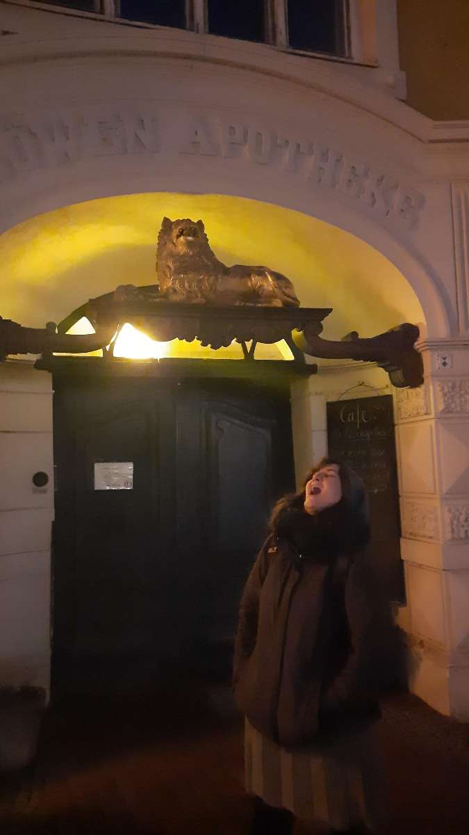 Wismar Skattejagt billeder fra skattejagten