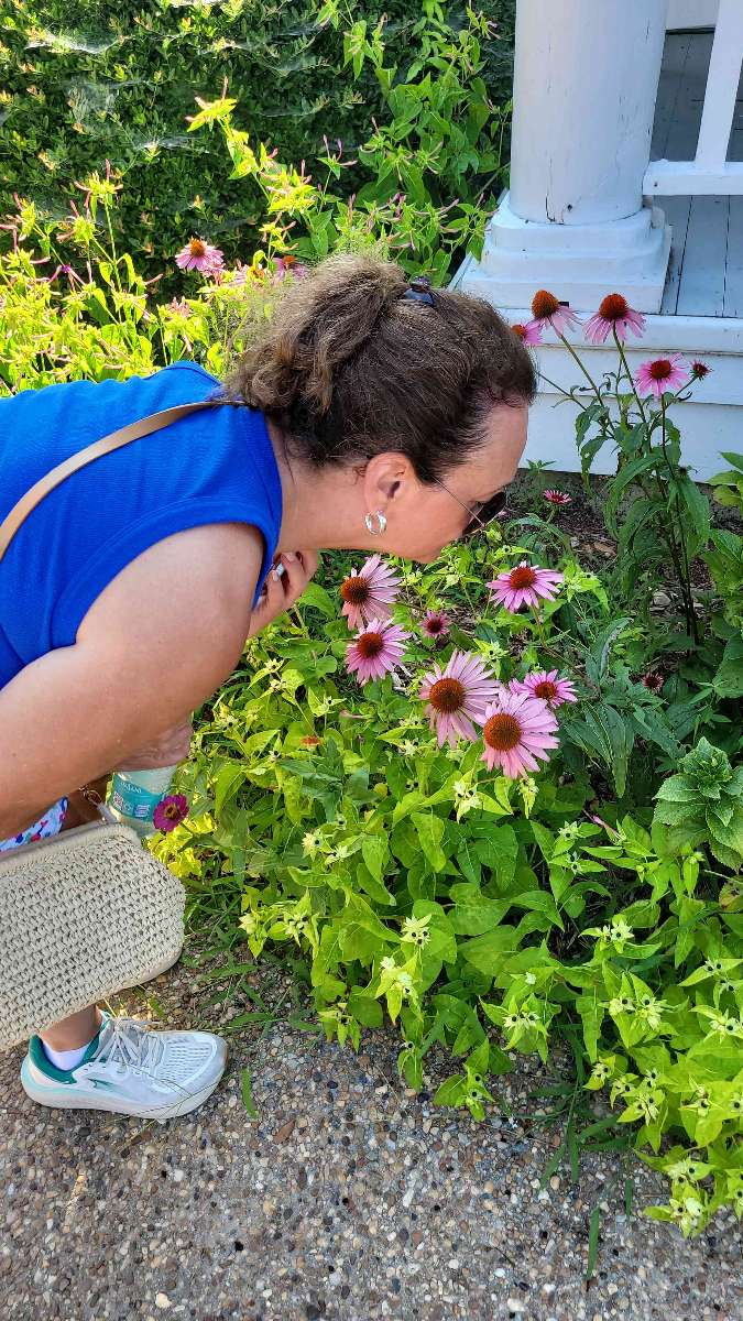 Corolla Scavenger Hunt scavenger hunt photos