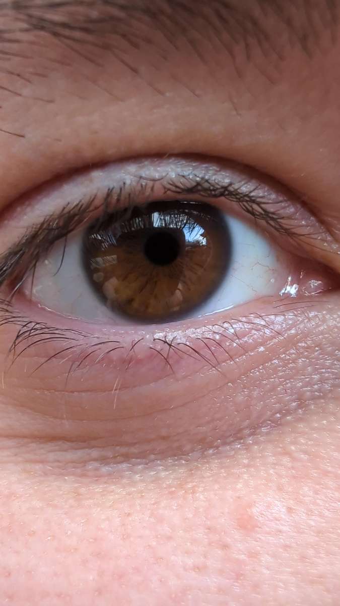 Norcross Scavenger Hunt scavenger hunt photos