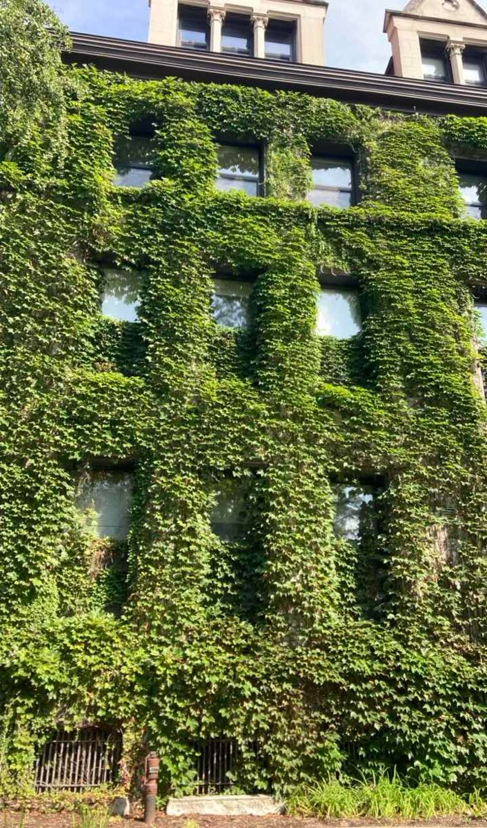 Chicago Downtown Scavenger Hunt -haun valokuvat