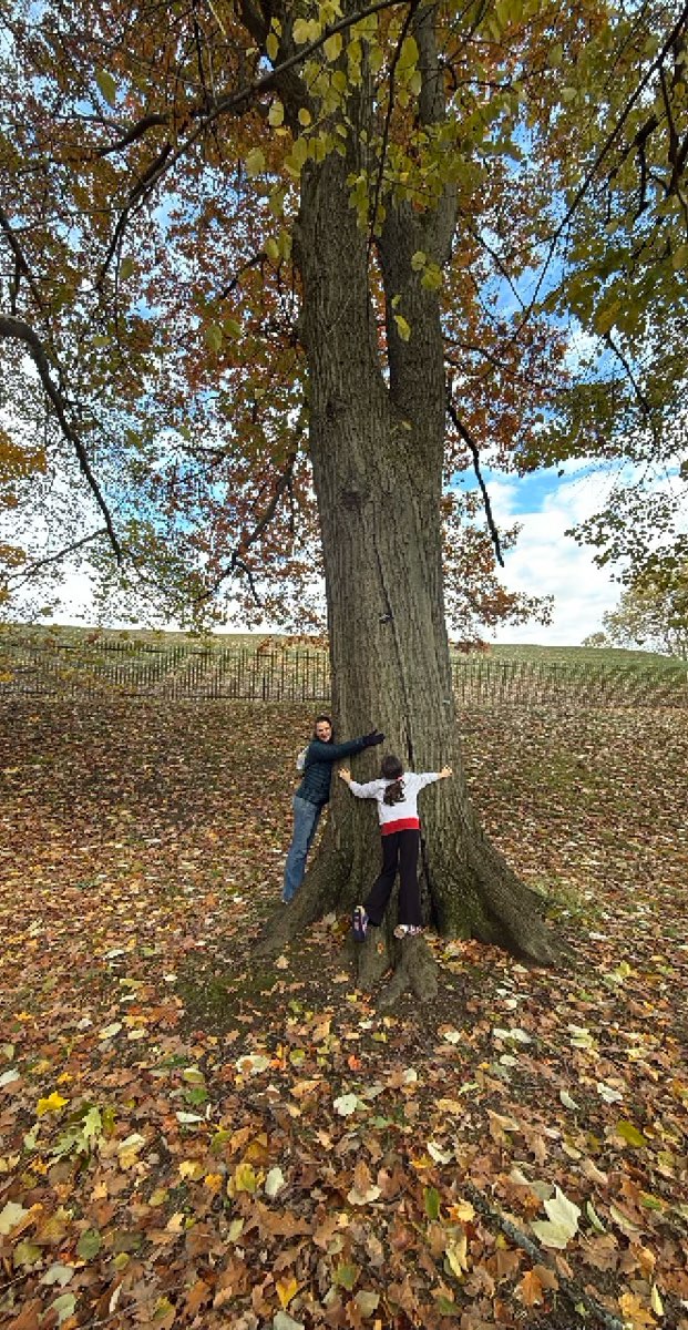 Rochester New York Downtown Scavenger Hunt scavenger hunt photos