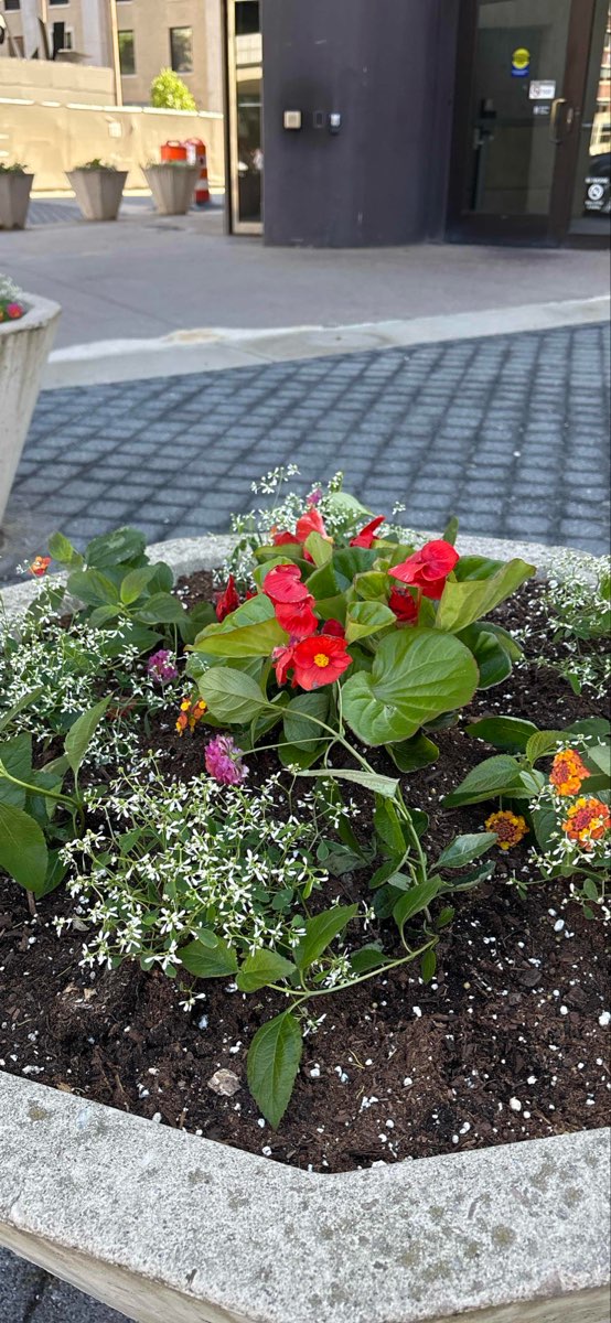 Massachusetts Institute of Technology Scavenger Hunt scavenger hunt photos