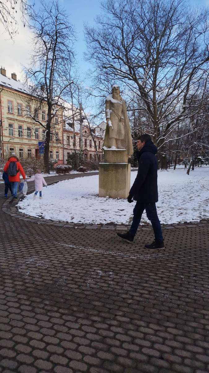 チェスケ・ブジェヨヴィツェ・スカベンジャーハントのスカベンジャーハント写真