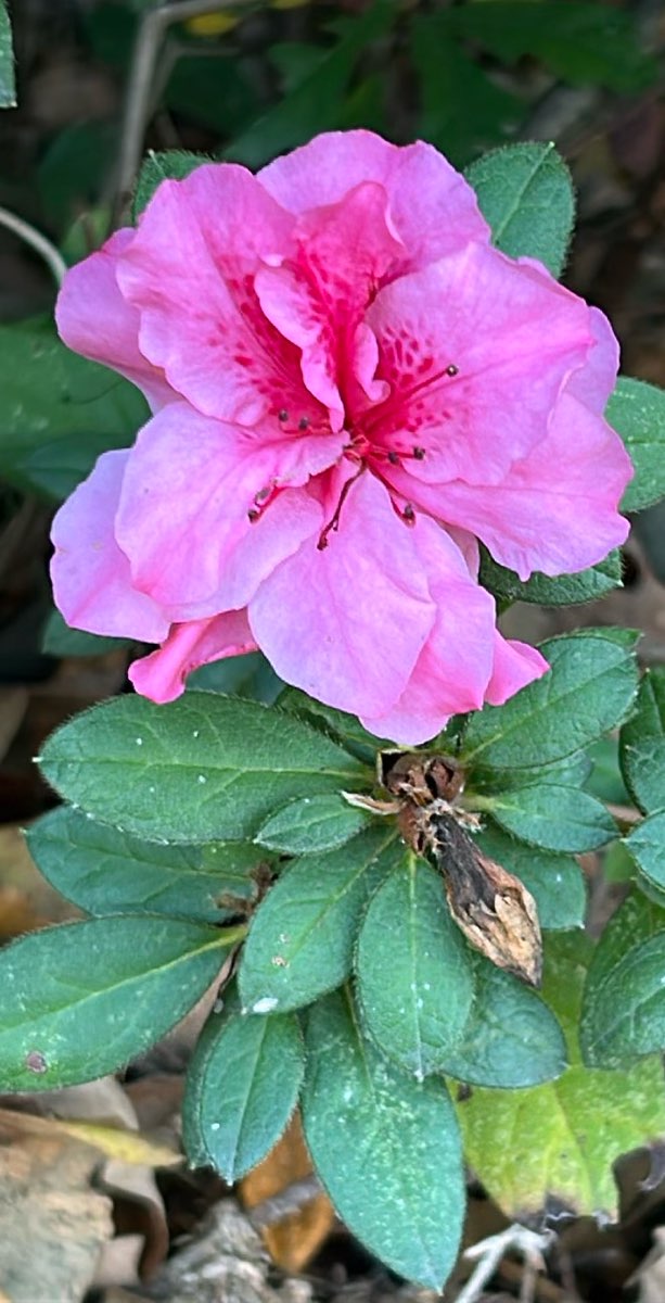 University Of Mississippi Scavenger Hunt scavenger hunt photos